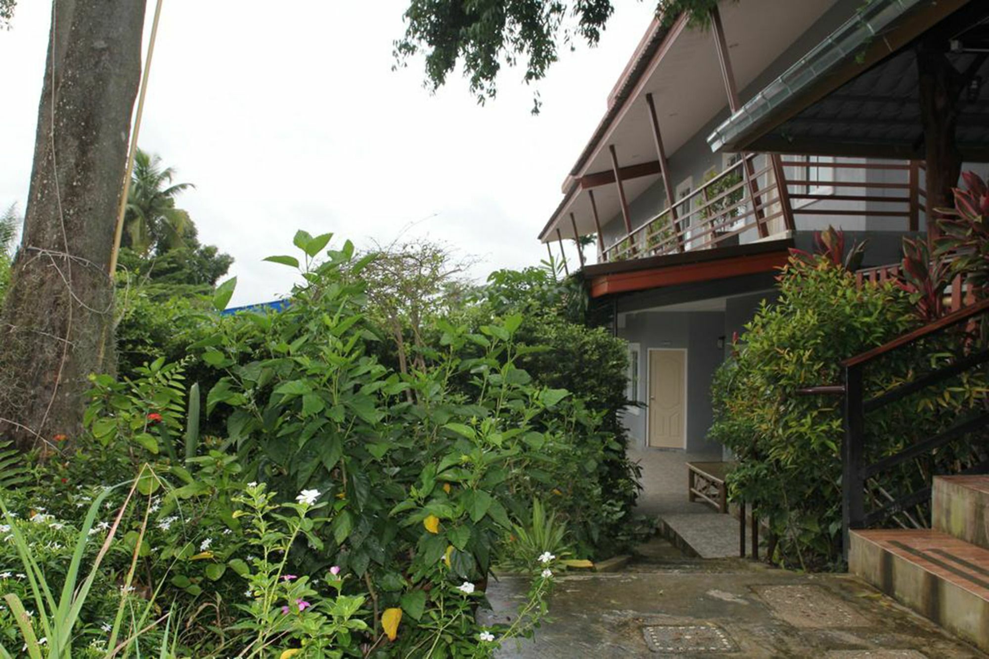 מלון Krabi Ava Hill מראה חיצוני תמונה